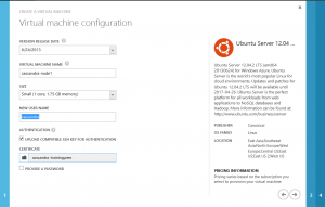 Initial Virtual Machine Configuration