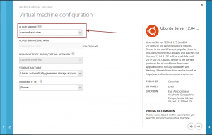 Connect VM to existing cloud service