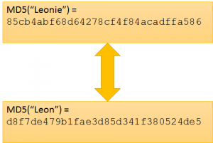 MD5 of Leon and Leonie