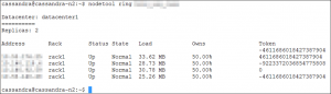 Nodetool Ring Output